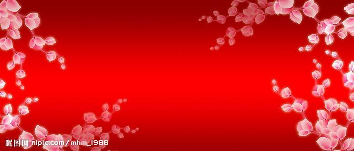 学信网上怎么查询学位证书编号